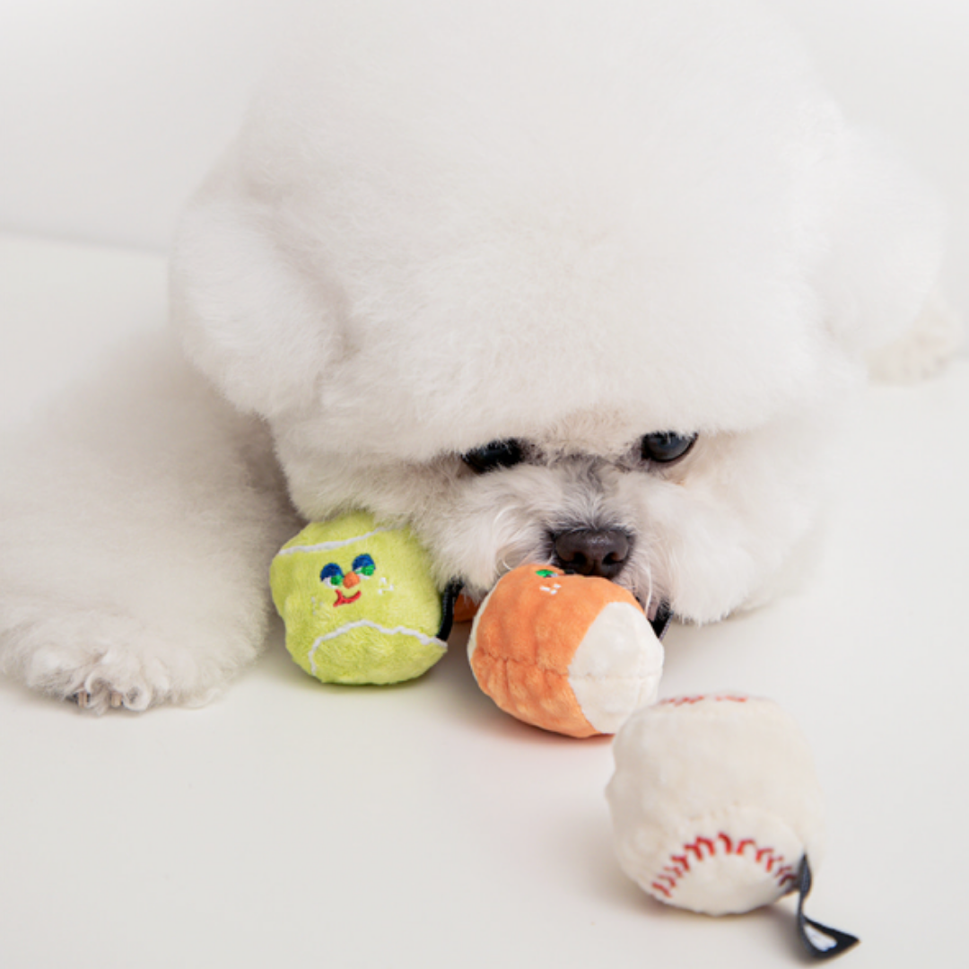 【BITE ME】Mini Sports Balls