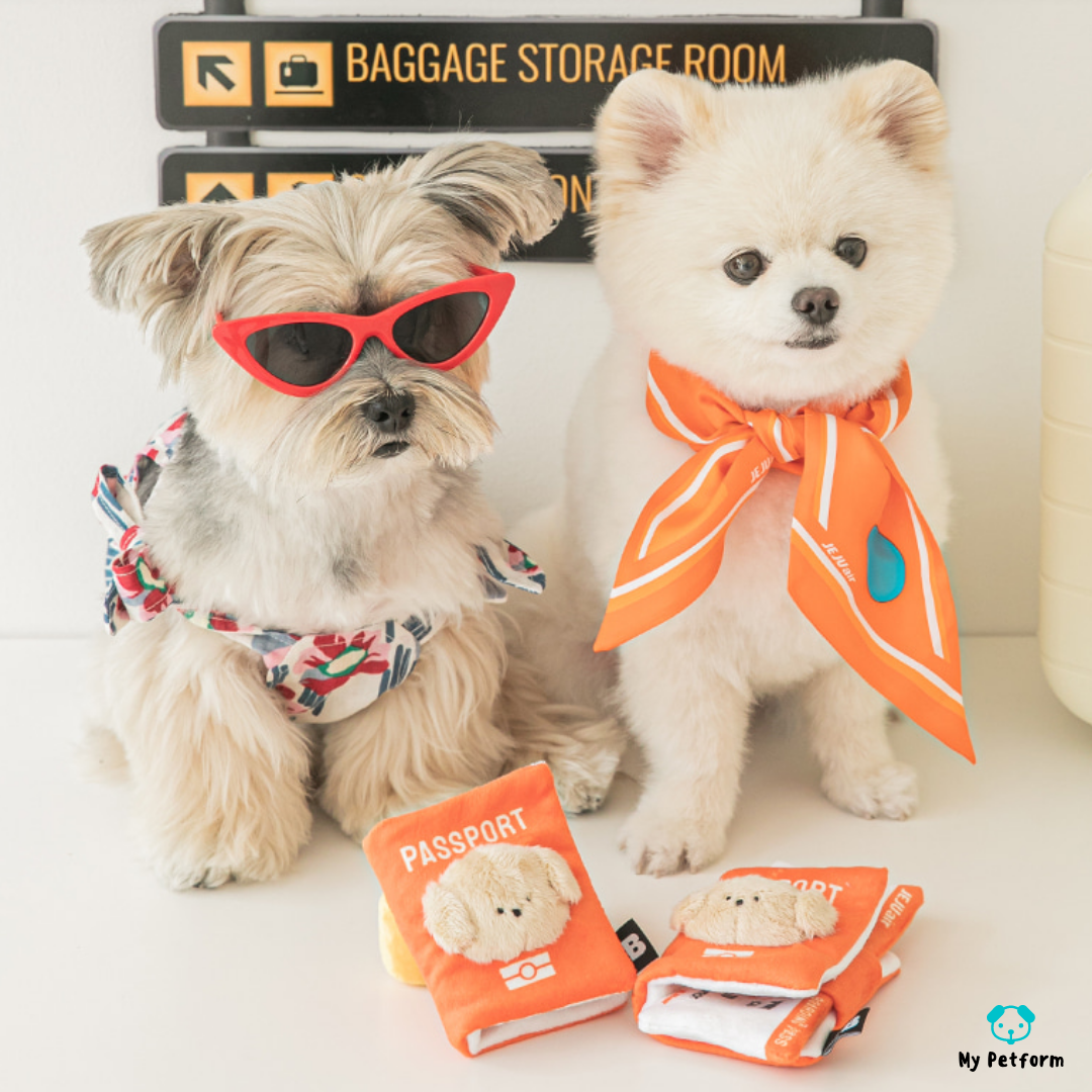 需訂貨【BITE ME】寵物護照及機票藏食玩具