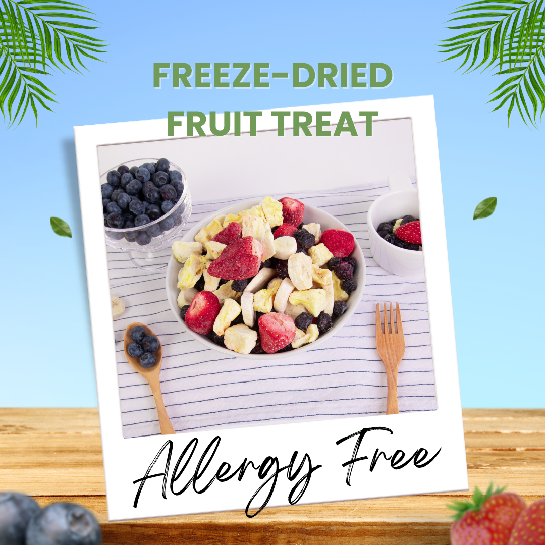 韓國凍乾水果粒 (70g)