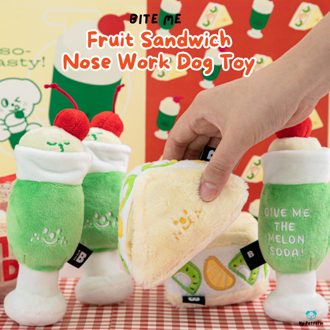 需訂貨【BITE ME】水果三文治🥪藏食玩具