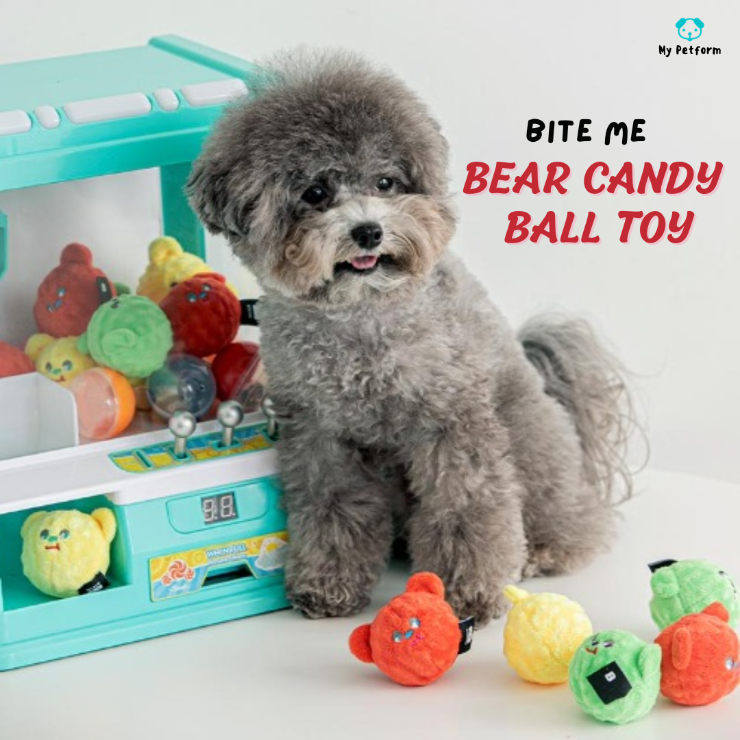 【BITE ME】Bear Candy Ball Toy🔴🟢🟡