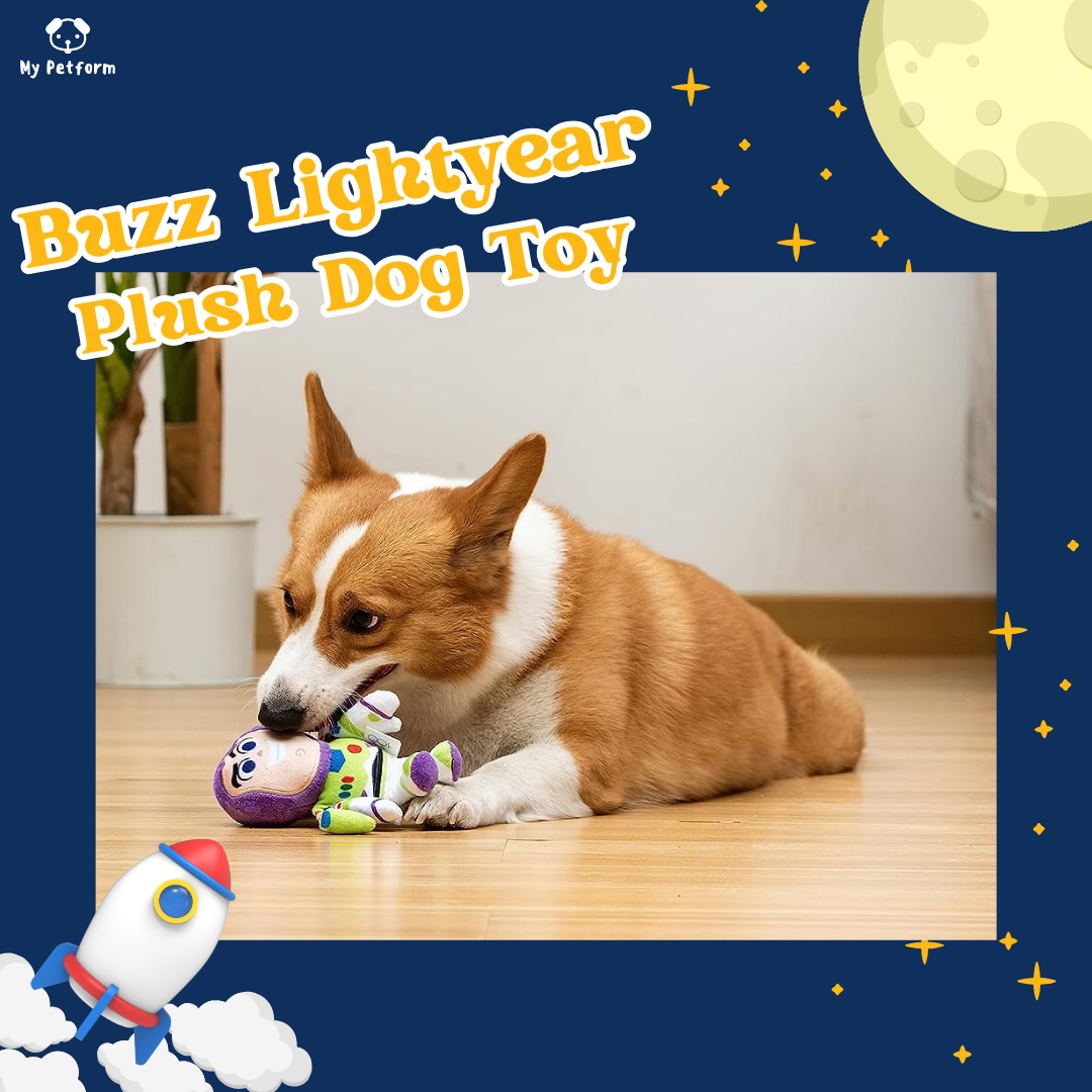 Disney Pixar系列巴斯光年寵物玩具🤩