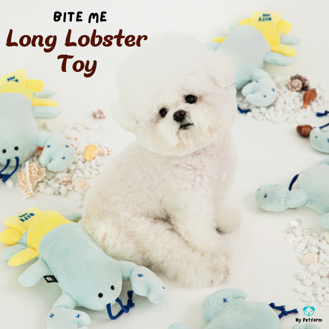 【BITE ME】巨型龍蝦🦞寵物玩具