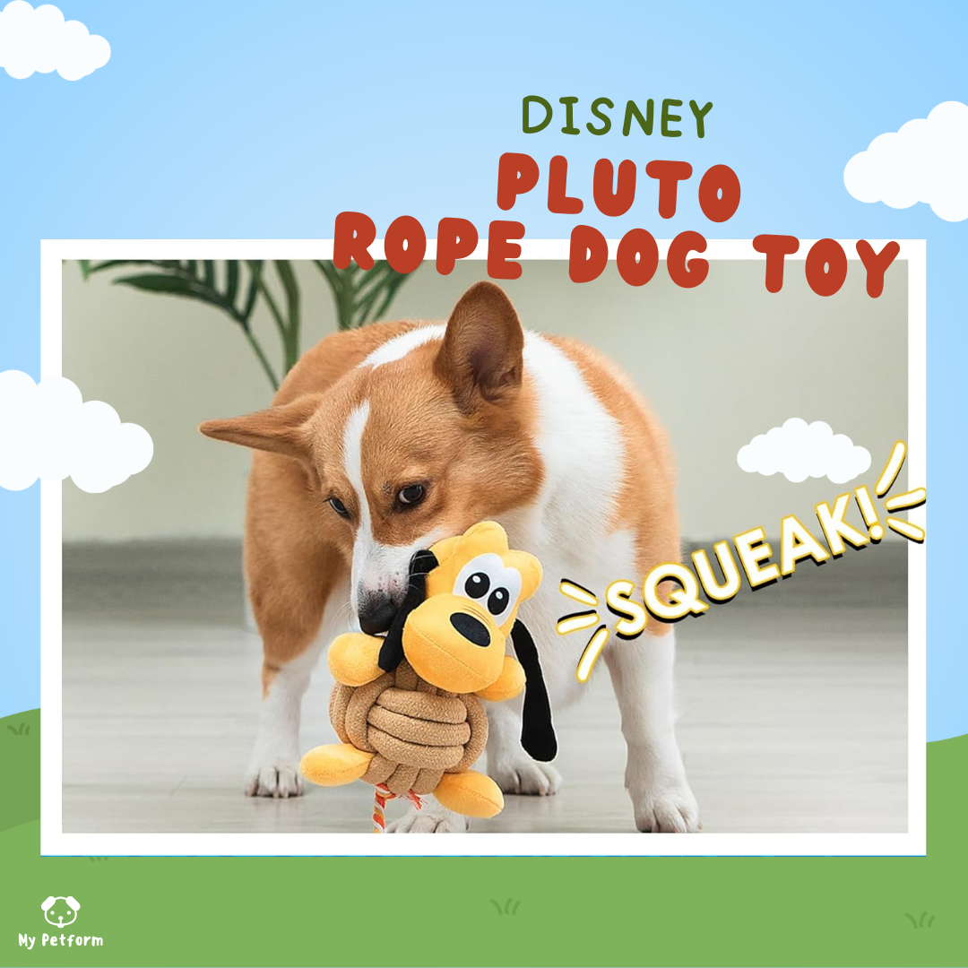 【需訂貨】Disney Pluto拔河玩具