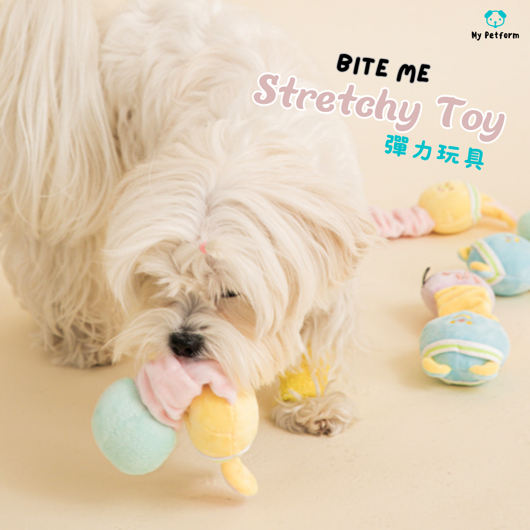 【BITE ME】Stretchy Toy 彈力玩具