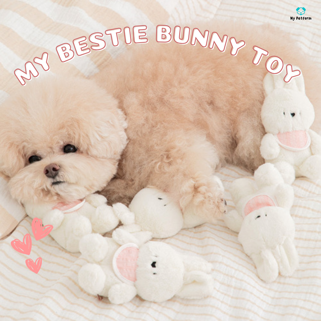 需訂貨【BITE ME】My Bestie Bunny Toy🐰