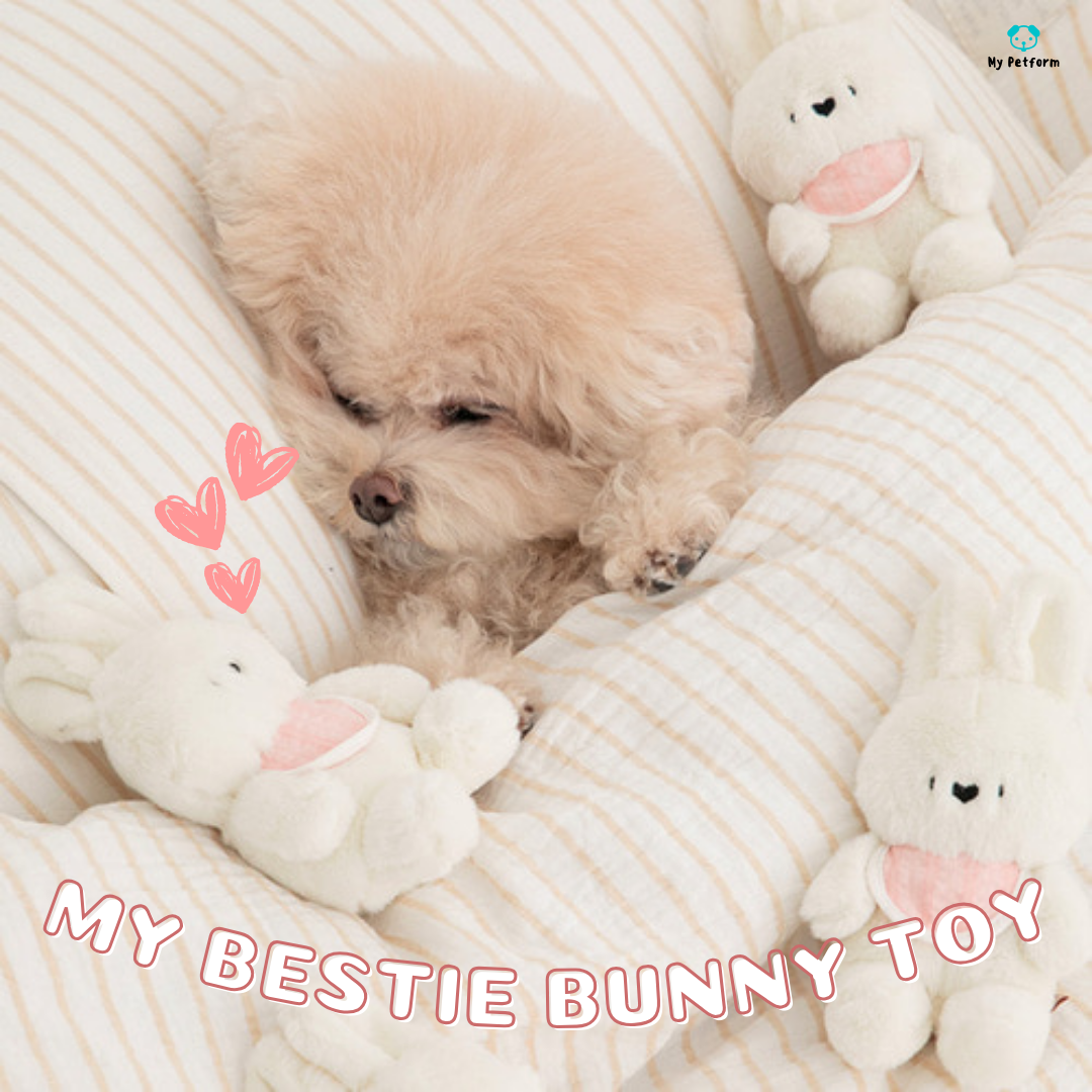 需訂貨【BITE ME】My Bestie Bunny Toy🐰