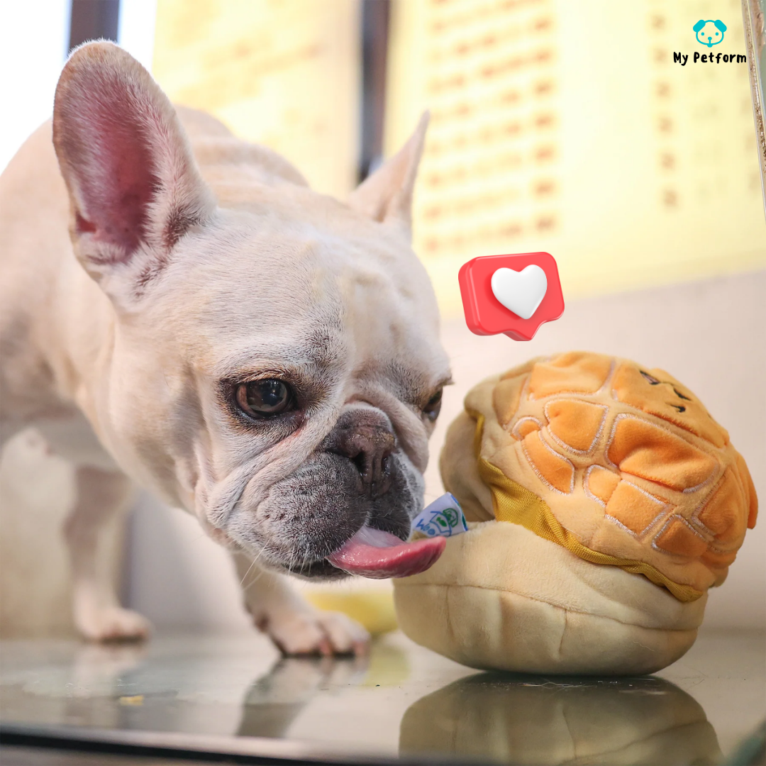 港式菠蘿油🧈藏食玩具