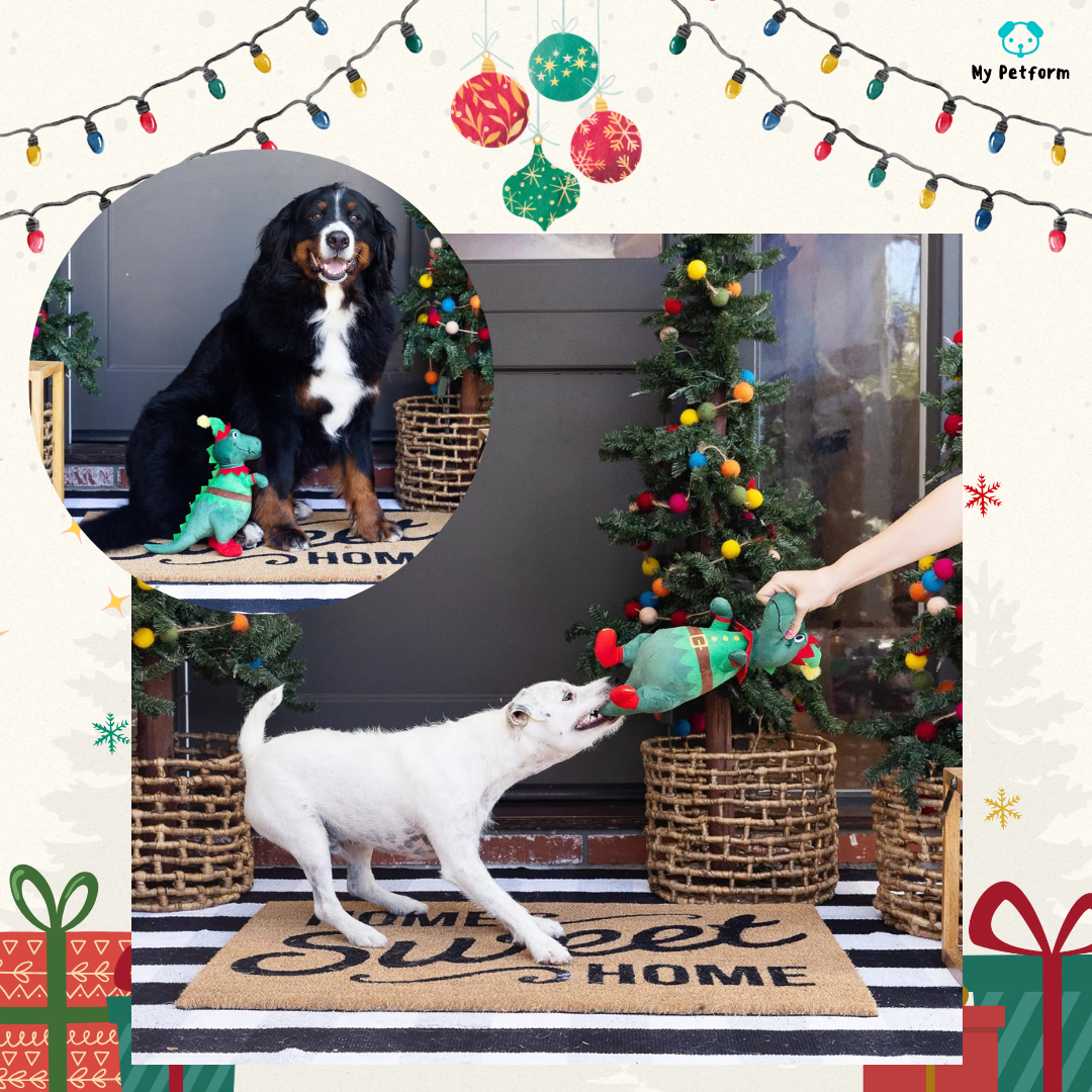 ๐่่ช้ ๅๆ้พๅฏต็ฉ็ฉๅ
ท๐ฆ