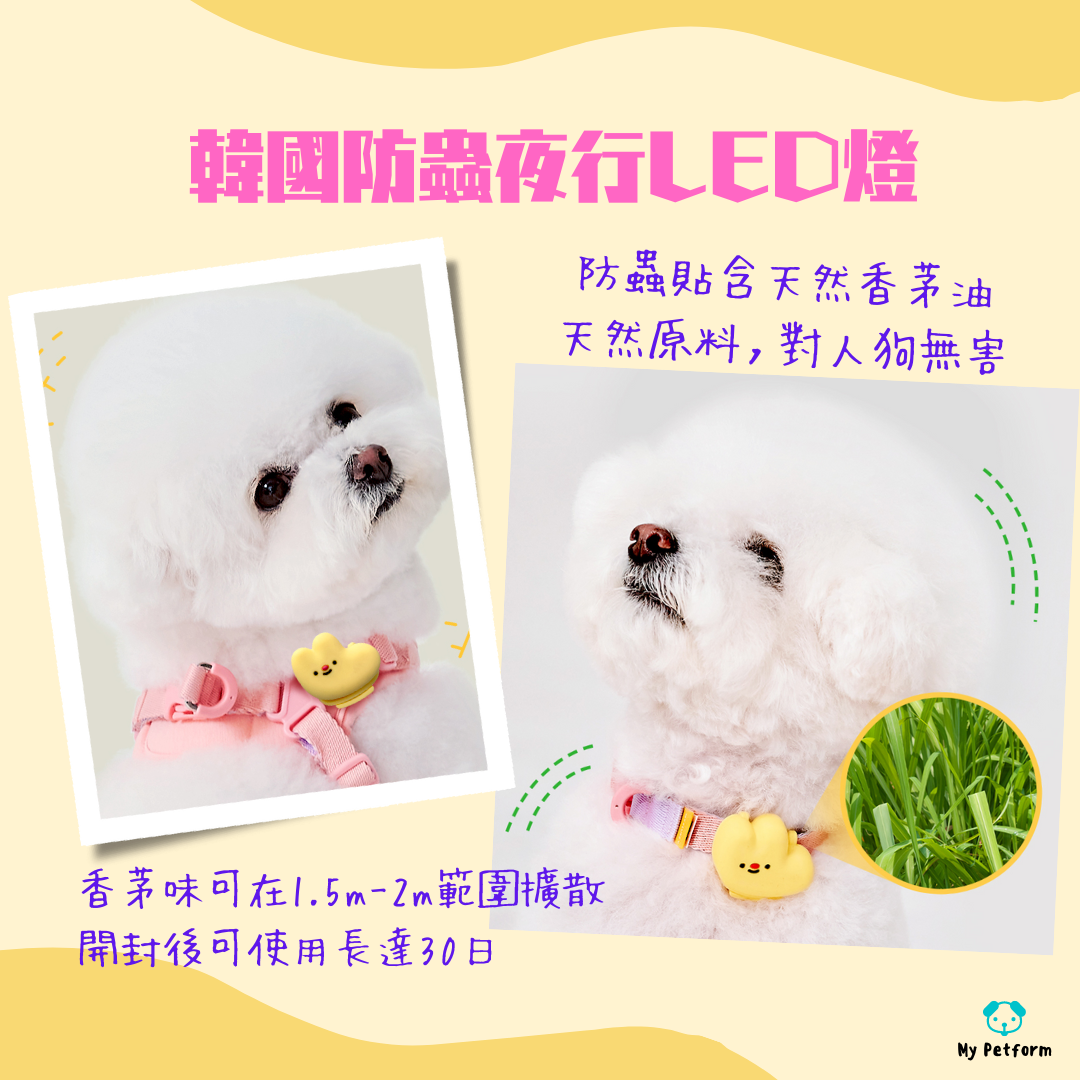 【需訂貨】韓國防蟲LED散步燈💡