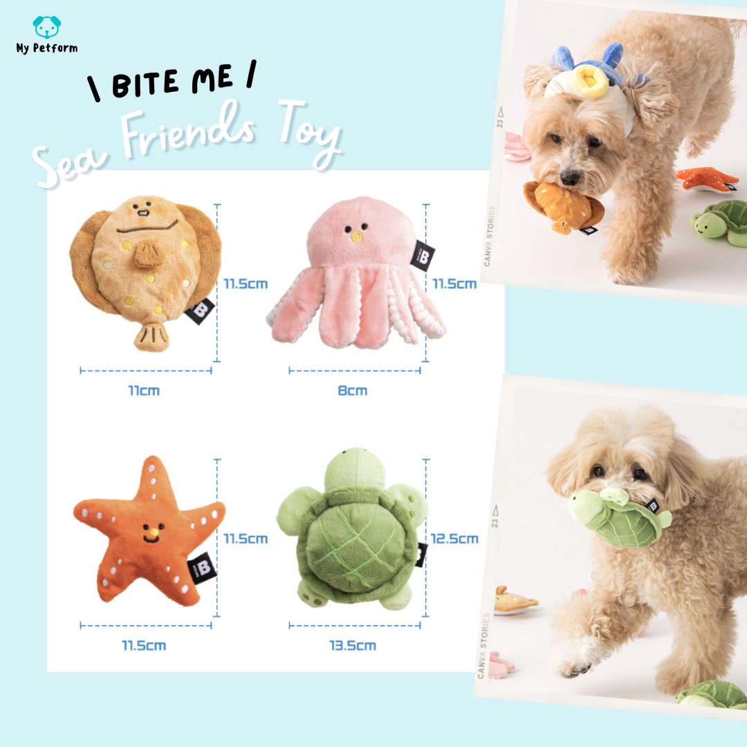 【BITE ME】BiteMe Sea Friends Toy 海洋系列 一套兩件