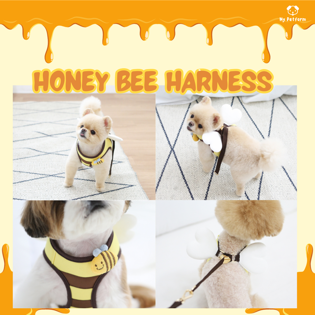 【需訂貨】Honey Bee Harness🐝嗡嗡嗡小蜜蜂胸背帶