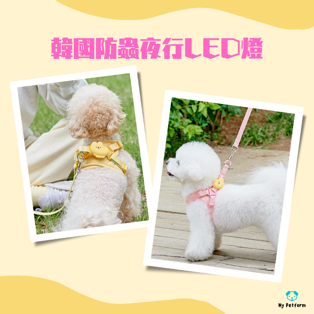 【需訂貨】韓國防蟲LED散步燈💡