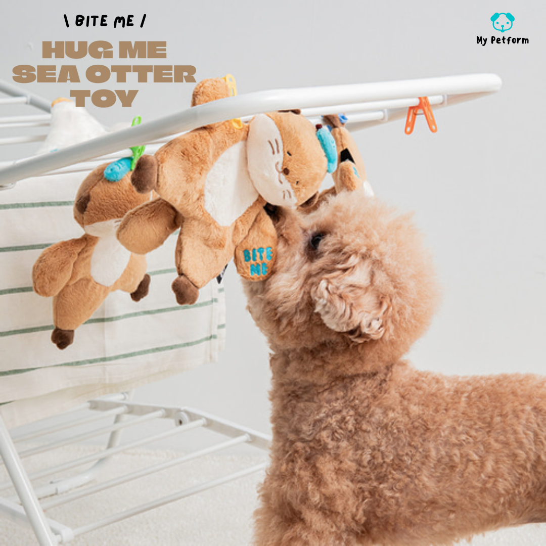 【BITE ME】Hug Me Tug toy – 可愛水瀨😍