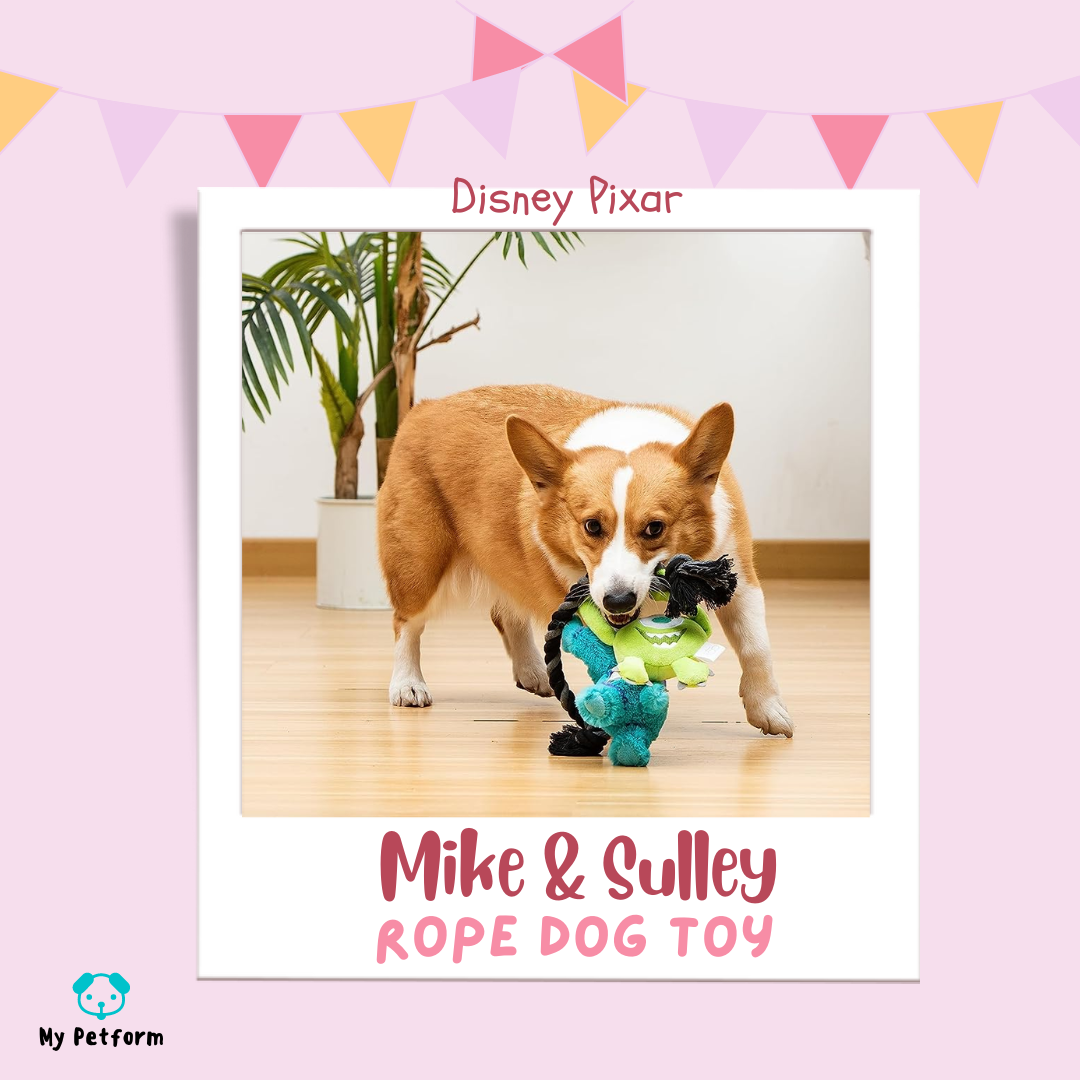 Disney Pixar系列👻怪獸公司毛毛大眼仔拔河玩具