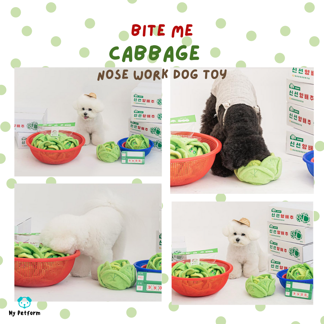 【BITE ME】捲心菜🥬藏食玩具