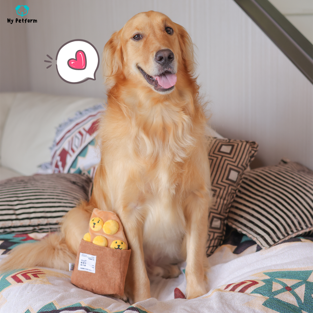 港式雞蛋仔&格仔餅🧇藏食玩具