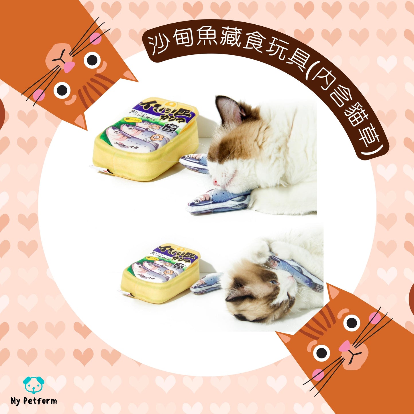 🐱罐頭沙甸魚貓草藏食玩具🌿