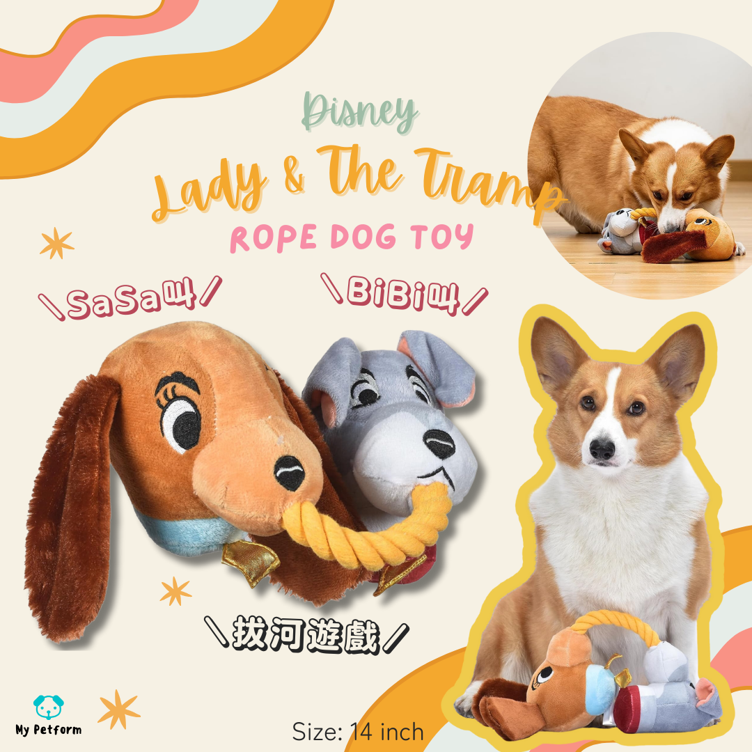 Disney 系列👩🏻🐶Lady & The Tramp小姐與流氓拔河玩具