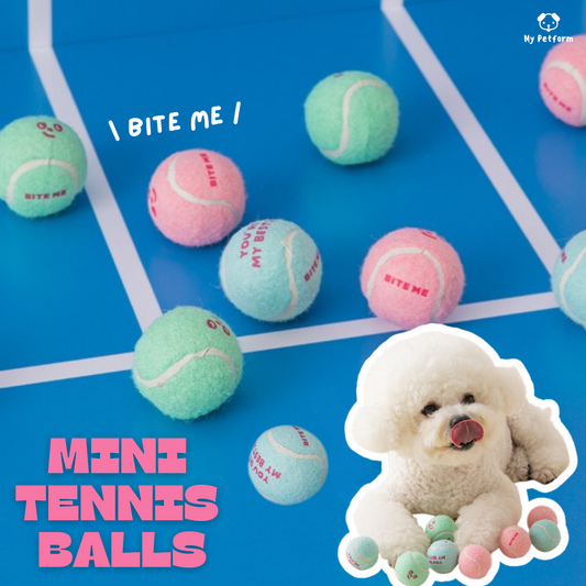 【BITE ME】Mini Tennis Balls