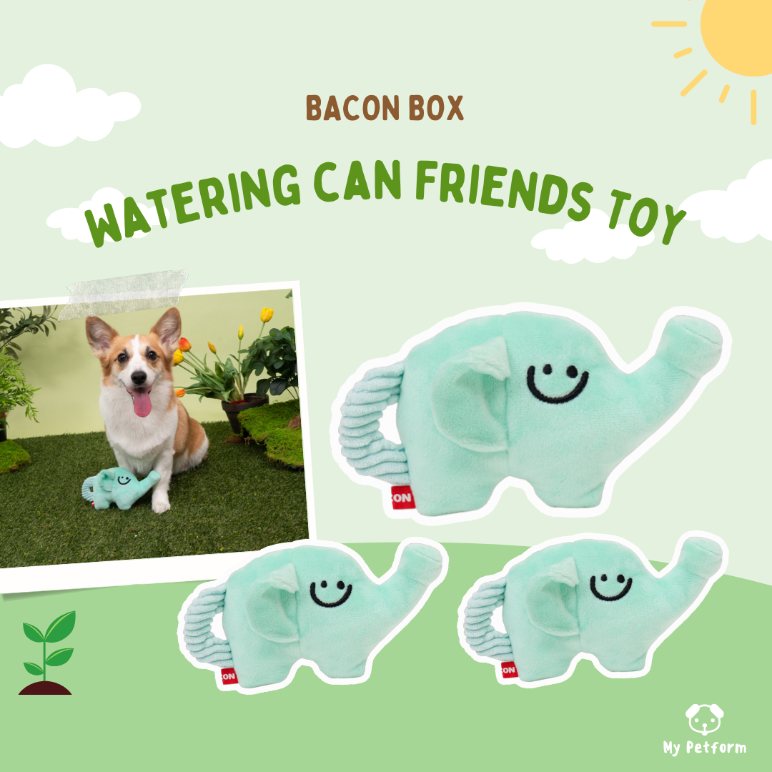 【Bacon Box】🐘小象水壺寵物玩具