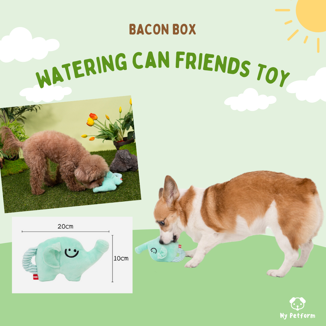 【Bacon Box】🐘小象水壺寵物玩具