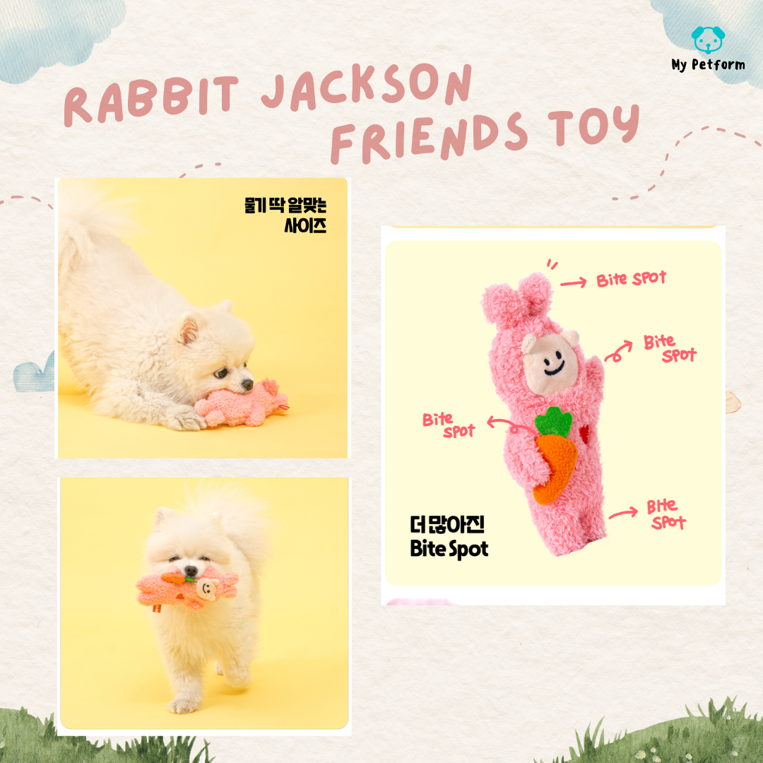 【Bacon Box】🐰Rabbit Jackson Friends Toy