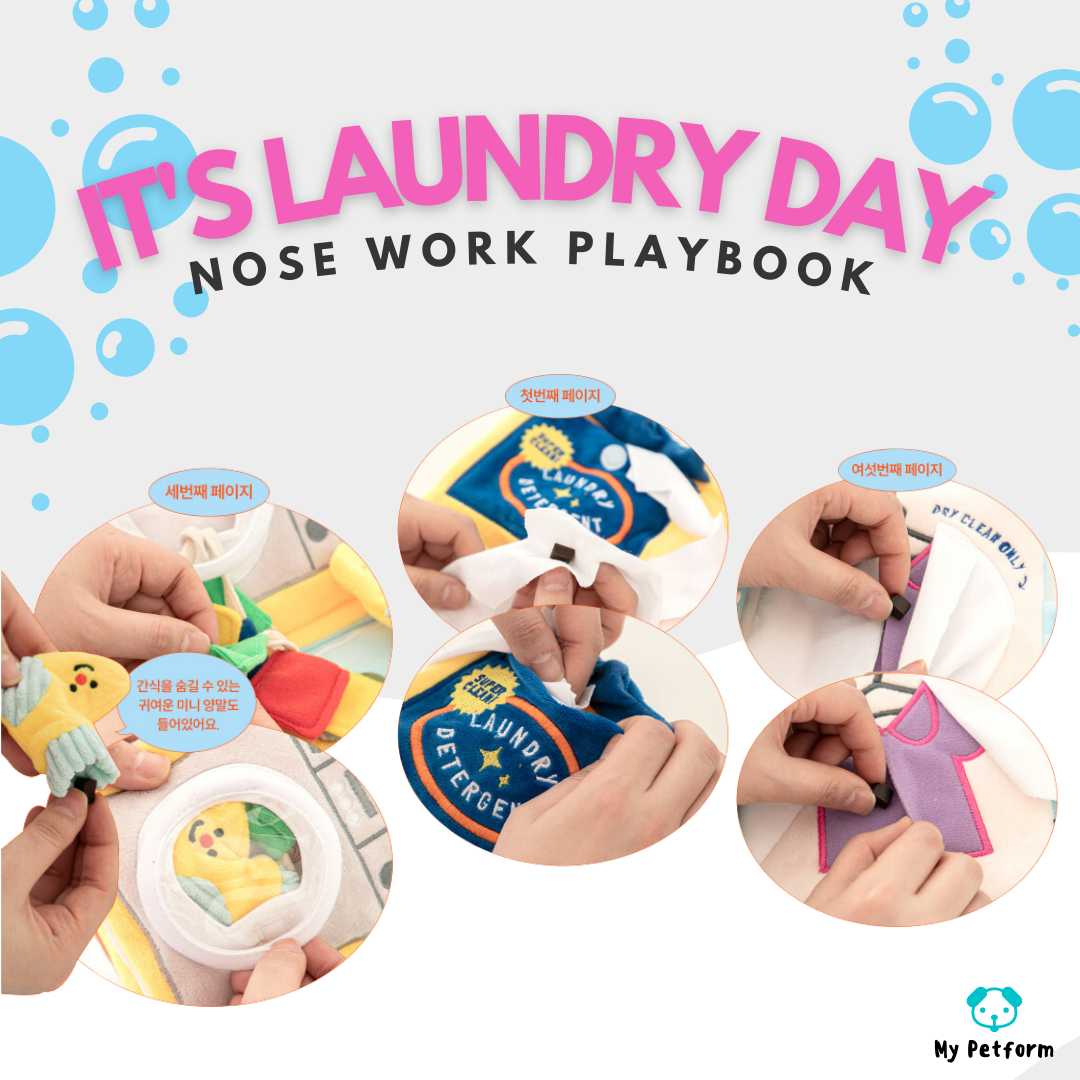 【BITE ME】It’s Laundry Day Nose Work Playbook 🧺洗衣書藏食玩具