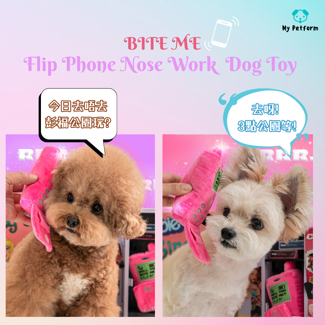 【BITE ME】Flip Phone Nose Work Dog Toy 📱摺機藏食玩具