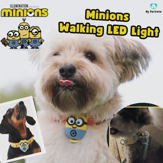 Minions Walking LED Light💡