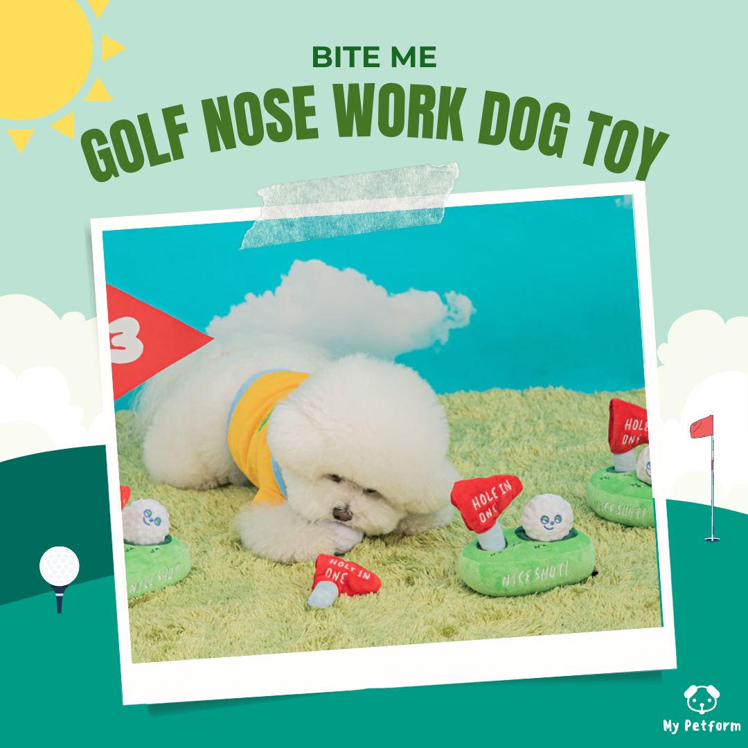 【BITE ME】Golf 高爾夫球藏食玩具⛳️