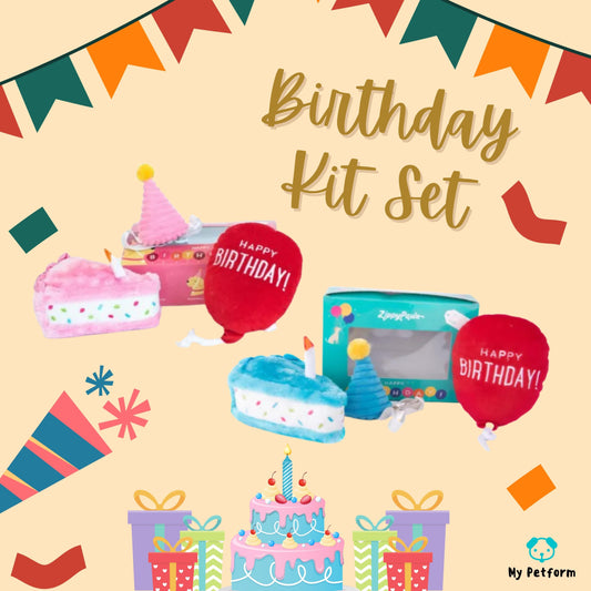 🎂Birthday Kit Set 🎉生日玩具禮盒